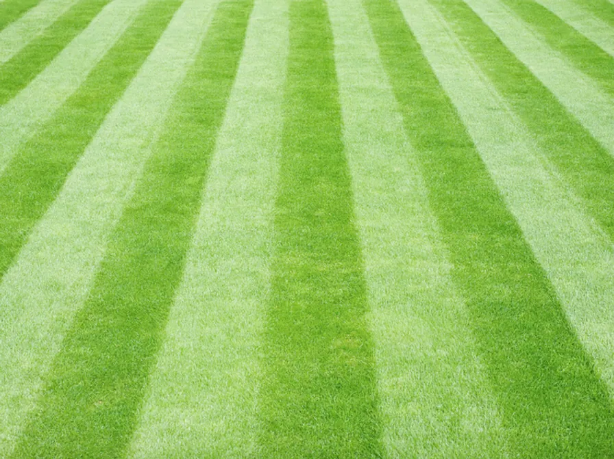 Garden Services