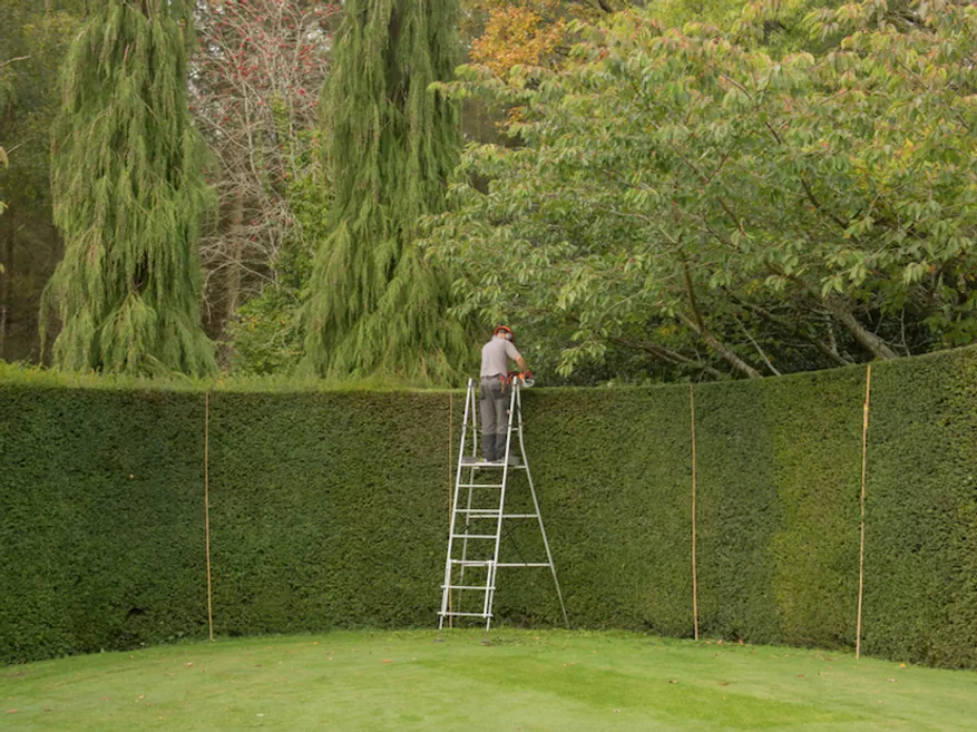 Hedge & Garden Care